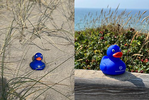 collage_summertime_quer.jpeg