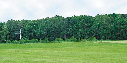09-Golfplatz-Kopie-w2000.jpg
